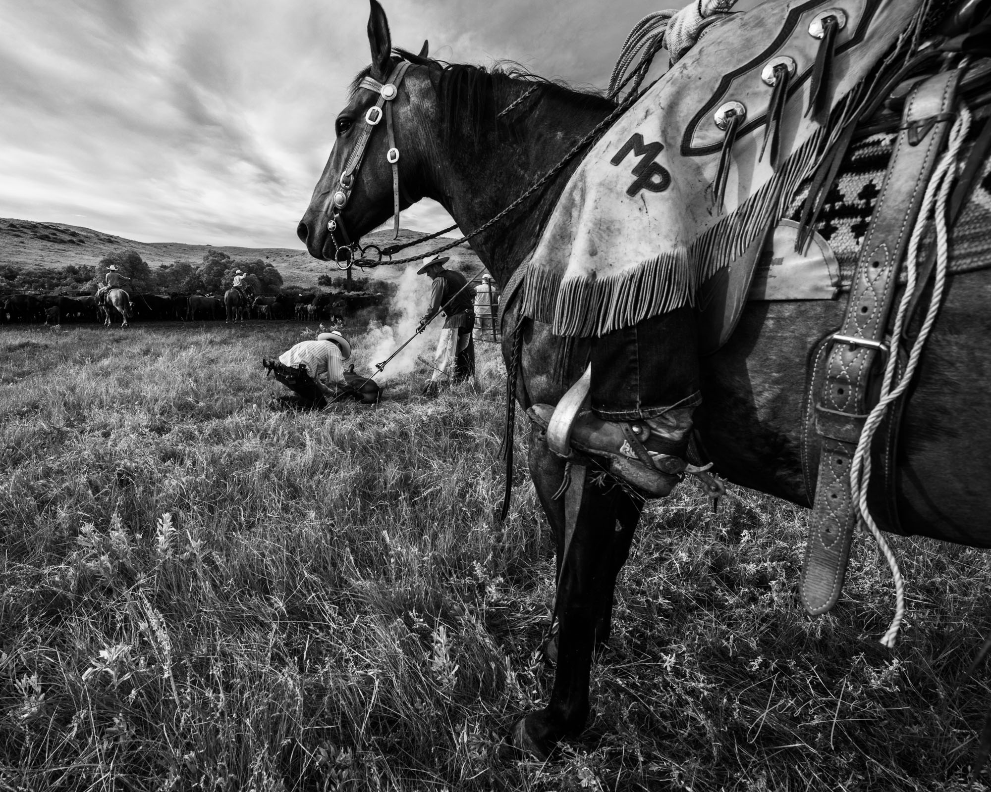 Fine Art Limited Edition Photo Prints of Cowboys, Horses, and life in the West. Doing the work. A Cowboy picture in black and...