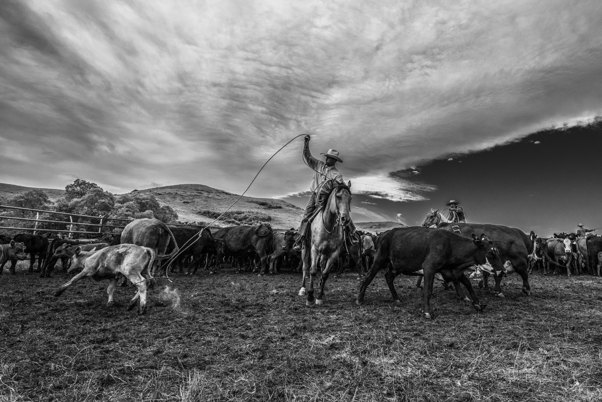 Fine Art Limited Edition Photo Prints of Cowboys, Horses, and life in the West. Anyway A Cowboy picture in black and white. This...