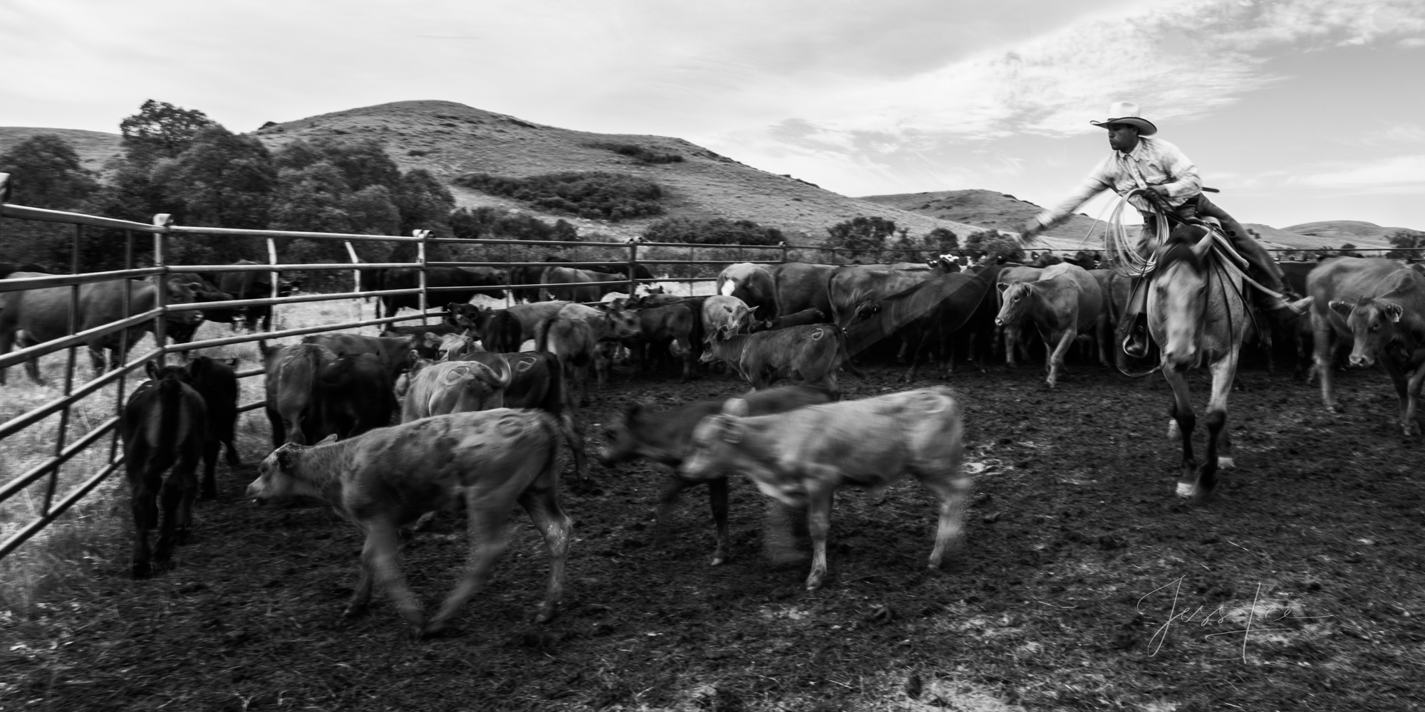 Fine Art Limited Edition Photo Prints of Cowboys, Horses, and life in the West. Reaching out A Cowboy picture in black and white...