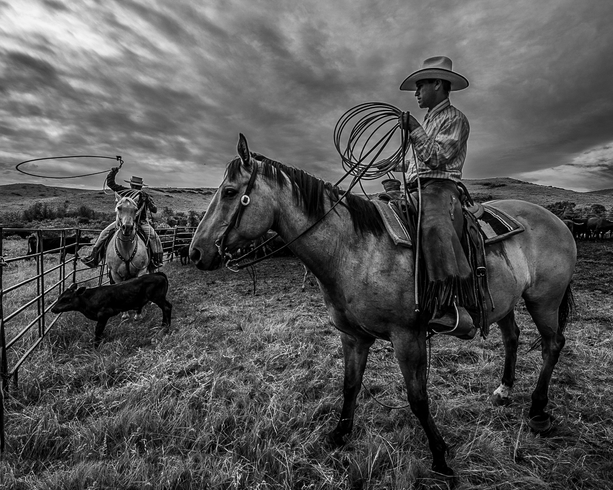 Fine Art Limited Edition Photo Prints of Cowboys, Horses, and life in the West. Padlock Branding Time. Cowboy pictures in black...