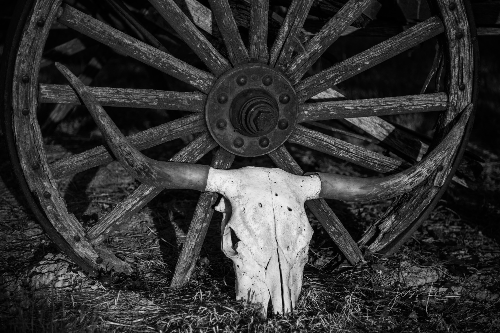 Fine Art Limited Edition Photo Prints of Cowboys, Horses, and life in the West.  Times Past. A  Cowboy picture in black and white...