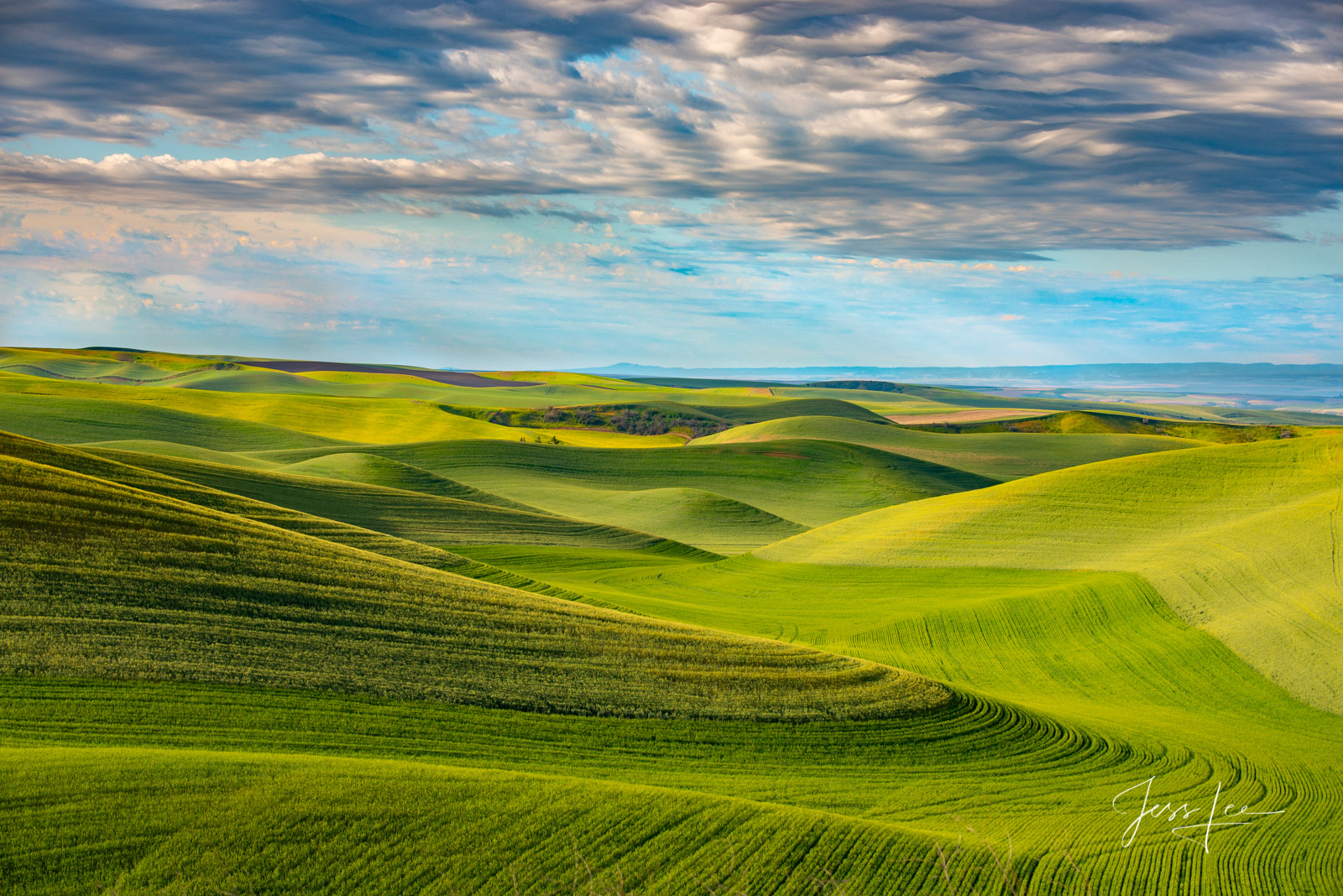 Fine Art Limited Edition of 200 Exclusive high-resolution Museum Quality Prints.  The origin of the name "Palouse" is unclear...