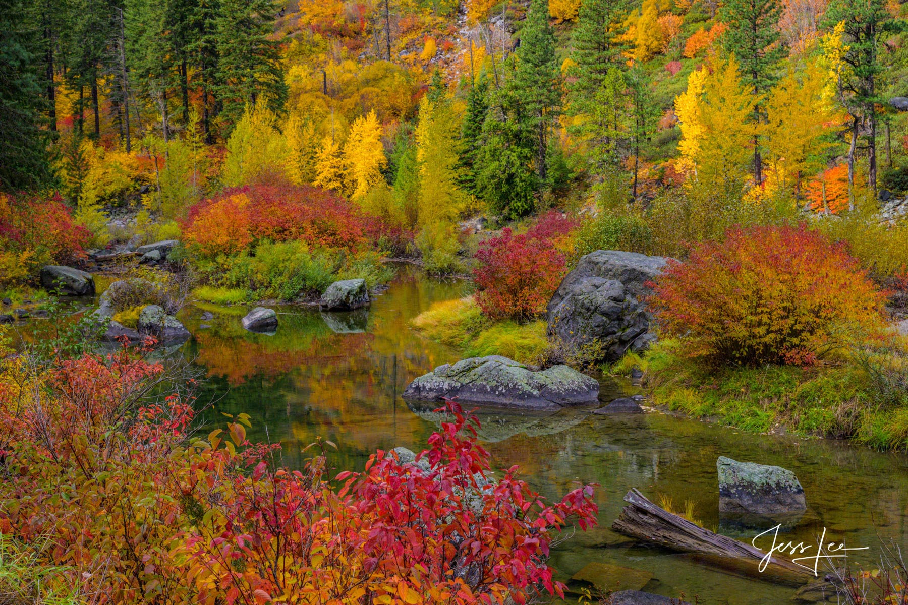 Rainbow pond Limited Edition of 50 Exclusive high-resolution Museum Quality Fine Art Prints. Rainbow pond. Rainbows can be full circles...