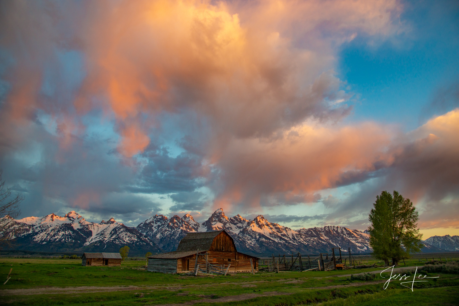 Grand Teton Photography of Teton Barn at sunset in a Fine Art Limited Edition Print. Available as a framed or float mounted, ready to hang wall art.