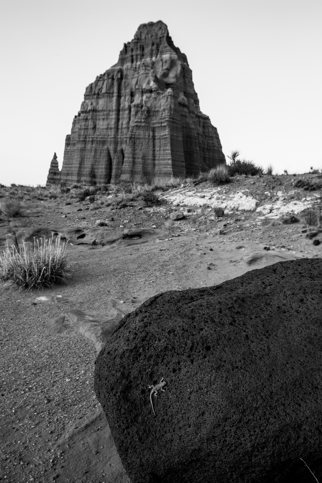 Limited Edition of 50 Fine Art Prints Hot Rock : Capitol Reef, San Rafael Swell and the Waterpocket Fold are some of the least...