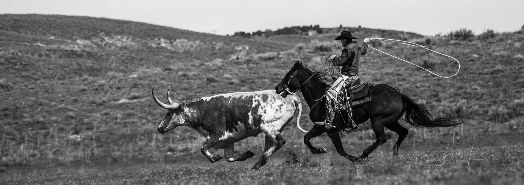 Black and White Photos, Cowboy Photos, Horse Photos, Bull Photos, 