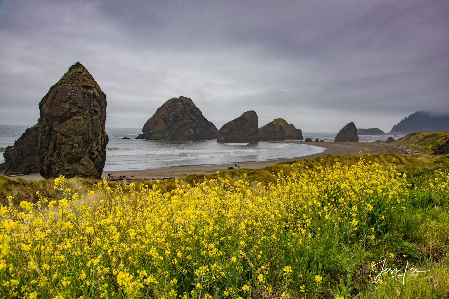 Limited Edition of 50 Exclusive high-resolution Museum Quality Fine Art Prints of these classic sea stacks on the coast of southern...