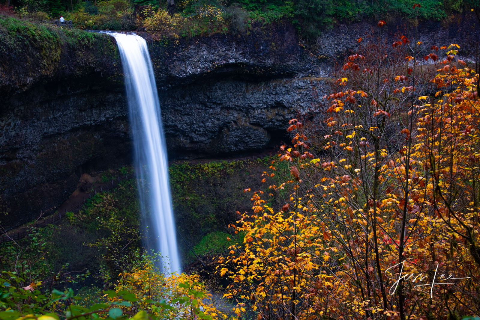 Silver falls in Autumn, A limited edition of 100 prints. Beautify your walls with is lovely prints by ordering today.