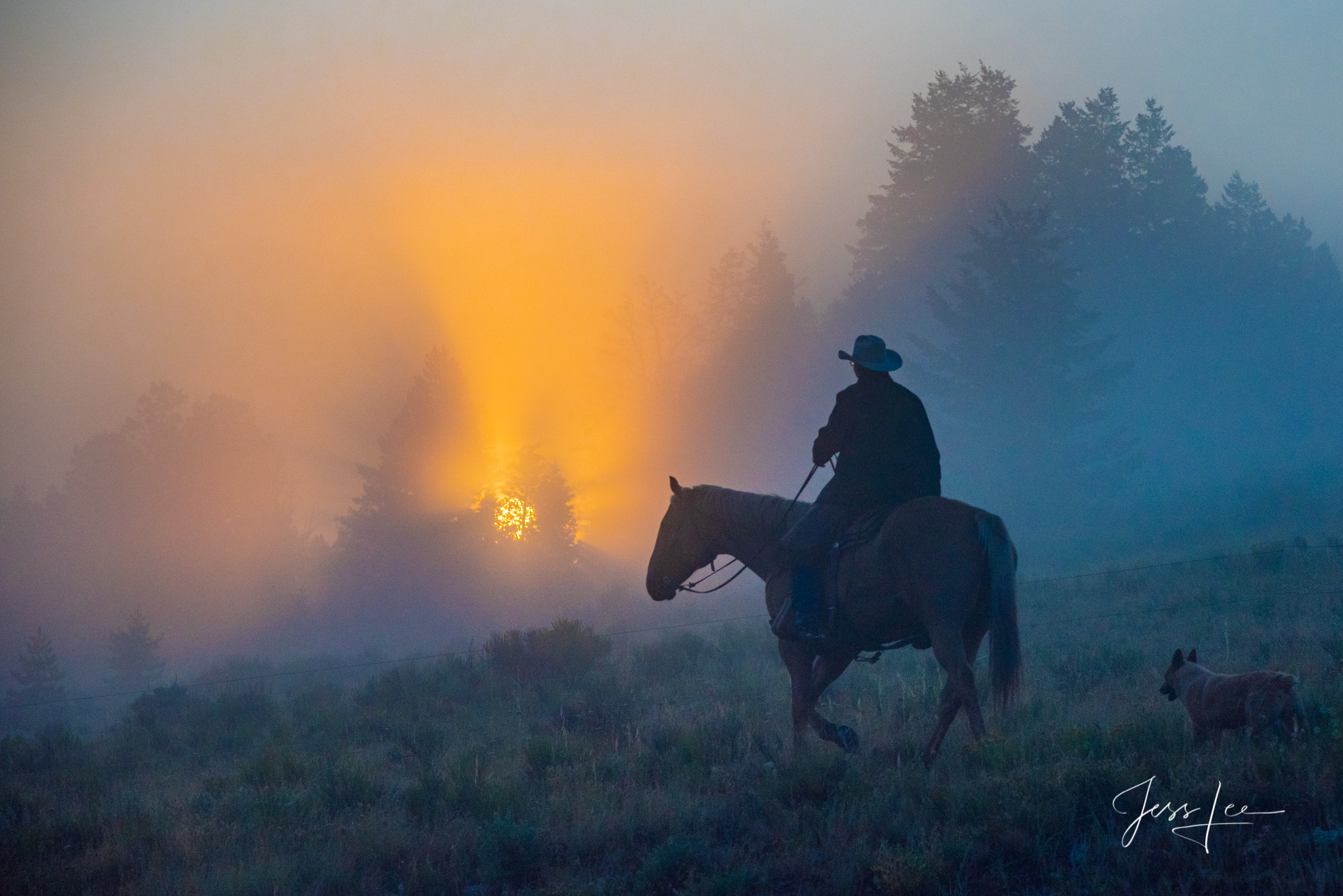 Fine Art Limited Edition Photography of Cowboys, Horses and life in the West. Wyoming Cowboy horse and dog going to work. This...