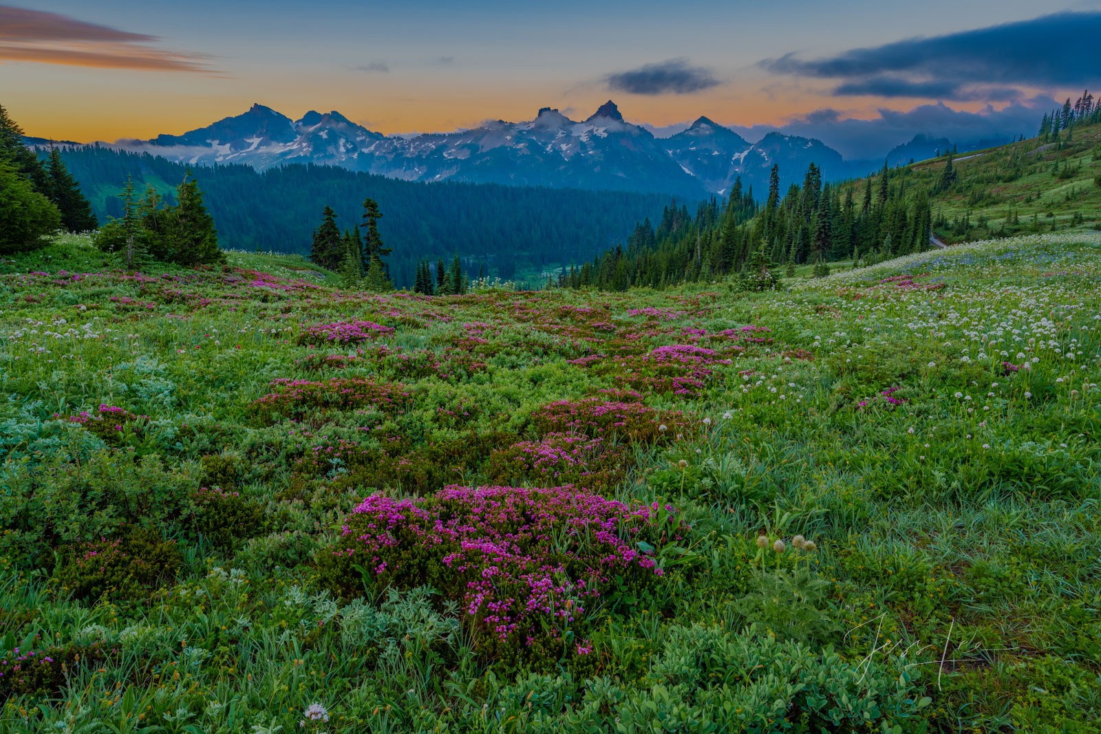 Mount Rainer Photograph Fine Art Print of summer blue color flowers and snow capped mountain photo. tatooch range