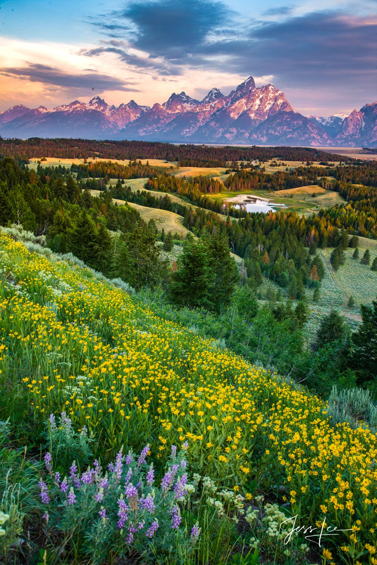 Grand Teton mountains and spring