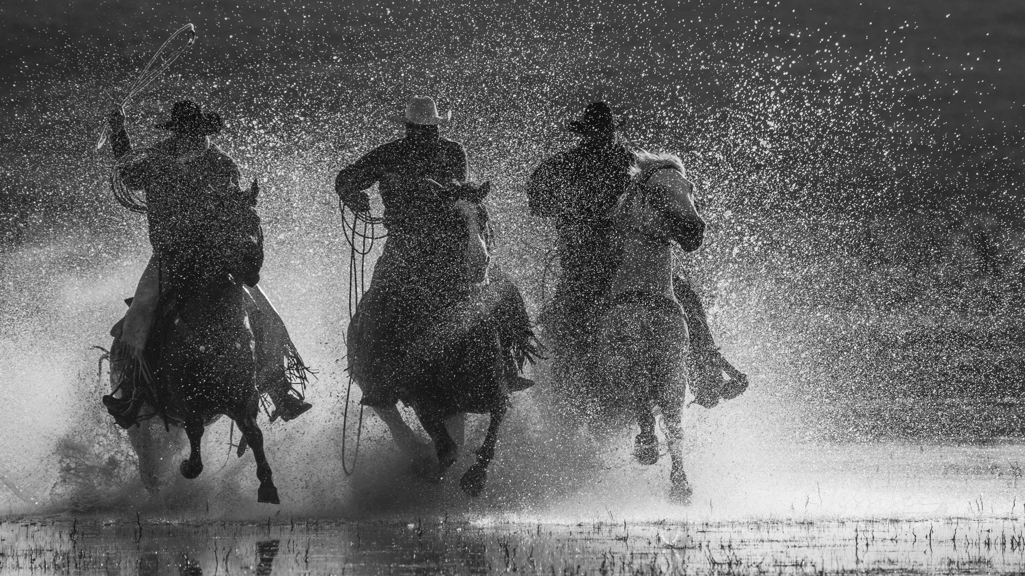 Black and White Photography, Horse Photos, Cowboy Photos