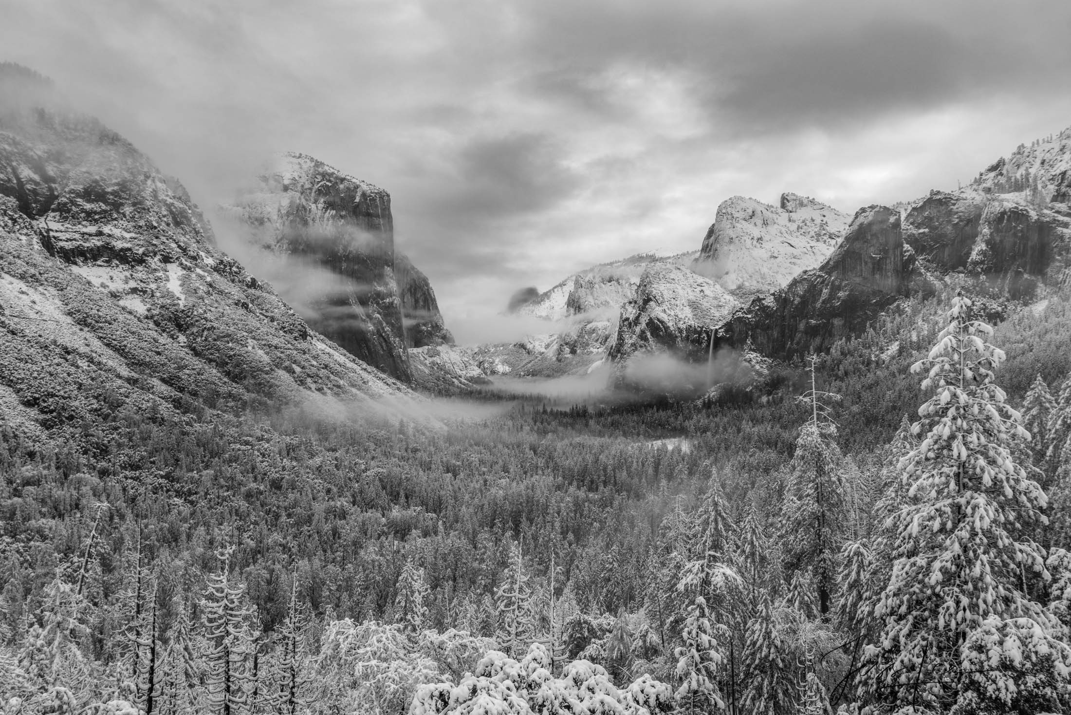 An early morning black and white photograph captures the serene beauty of Yosemite National Park in winter. Fresh snow blankets...