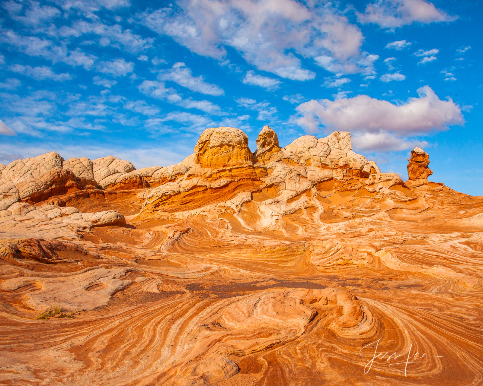 Swirling Sandstone Patterns within Patterns