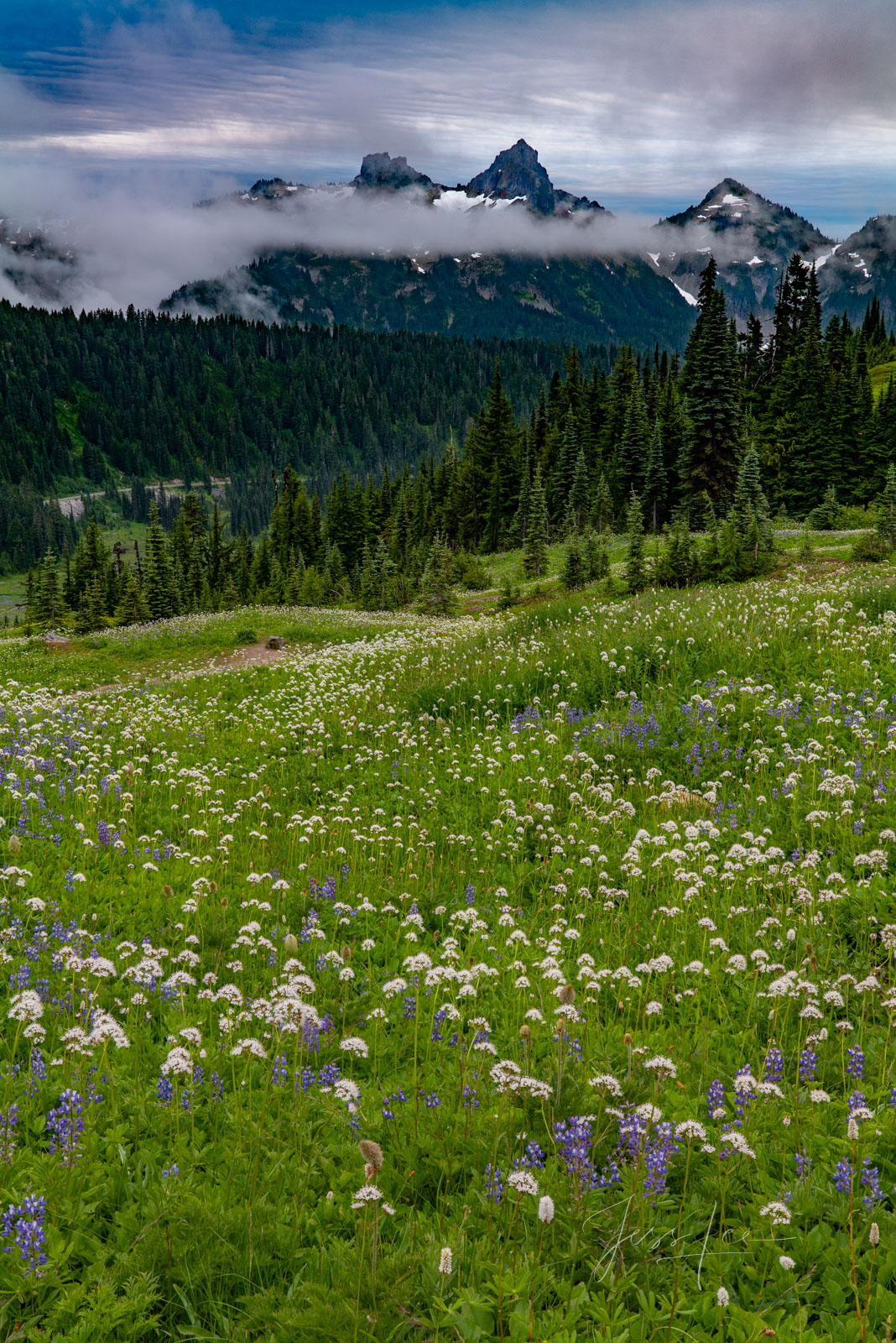 Mount Rainer Photograph Fine Art Print of summer blue color flowers and snow capped mountain photo. vertical print