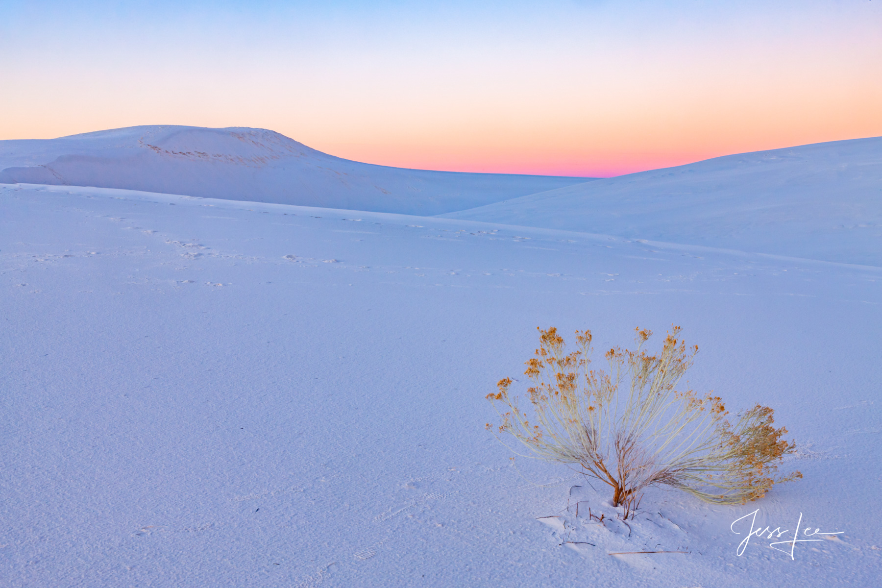 Fine Art Photography of Whites Sands Gypsum Desert The park's primary feature is the field of white sand dunes composed of gypsum...