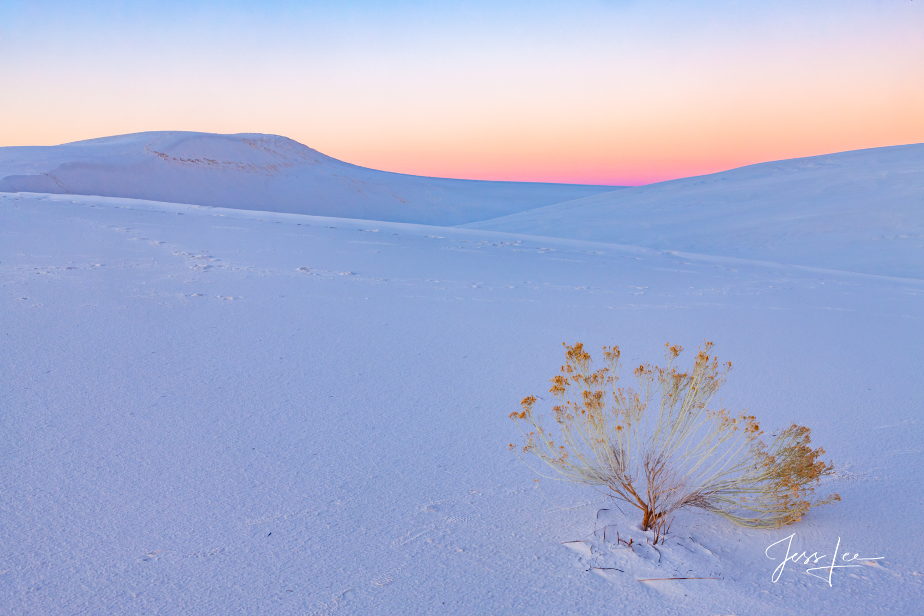 White Sands alone Sand Dunes at Sunrise Desert Photography Print