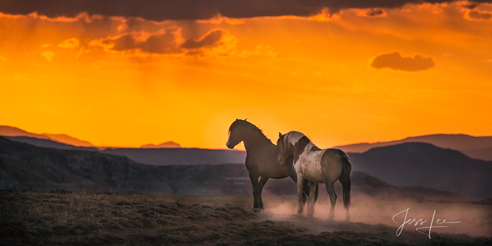 Fine Art Print of Wyoming Wild Horses at sunset. Limited Edition of 250 Luxurious Prints.  Choose the style, size, and medium...