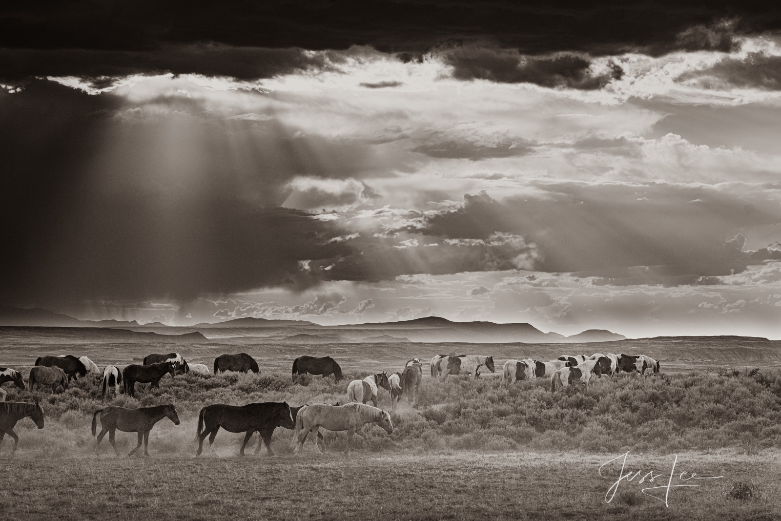 Fine Art Print of beautiful Wyoming Wild Horses with a stormy sky. Limited Edition of 250 Luxurious Prints.  Choose the style...