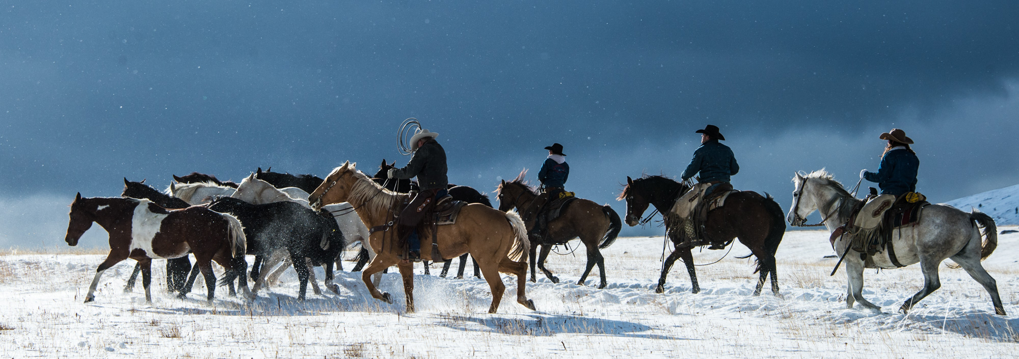 Winter Roundup 250 Limited Edition Fine Art Prints picturing Wyoming Cowboys and Cowgirls gathering their horses as a cold wind...