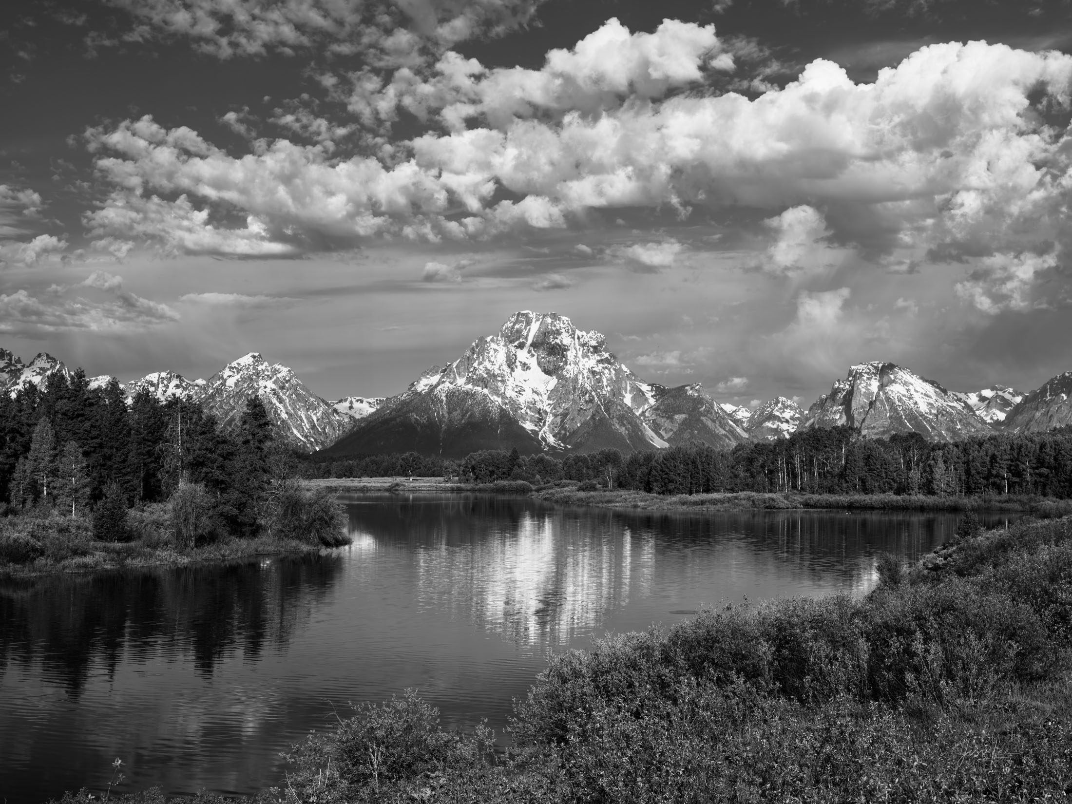 Oxbow Spring Black and White Grand Teton Print, Large Format, Mountains, and Flowers, fine art, limited edition Photography, masterwork.Black and white.