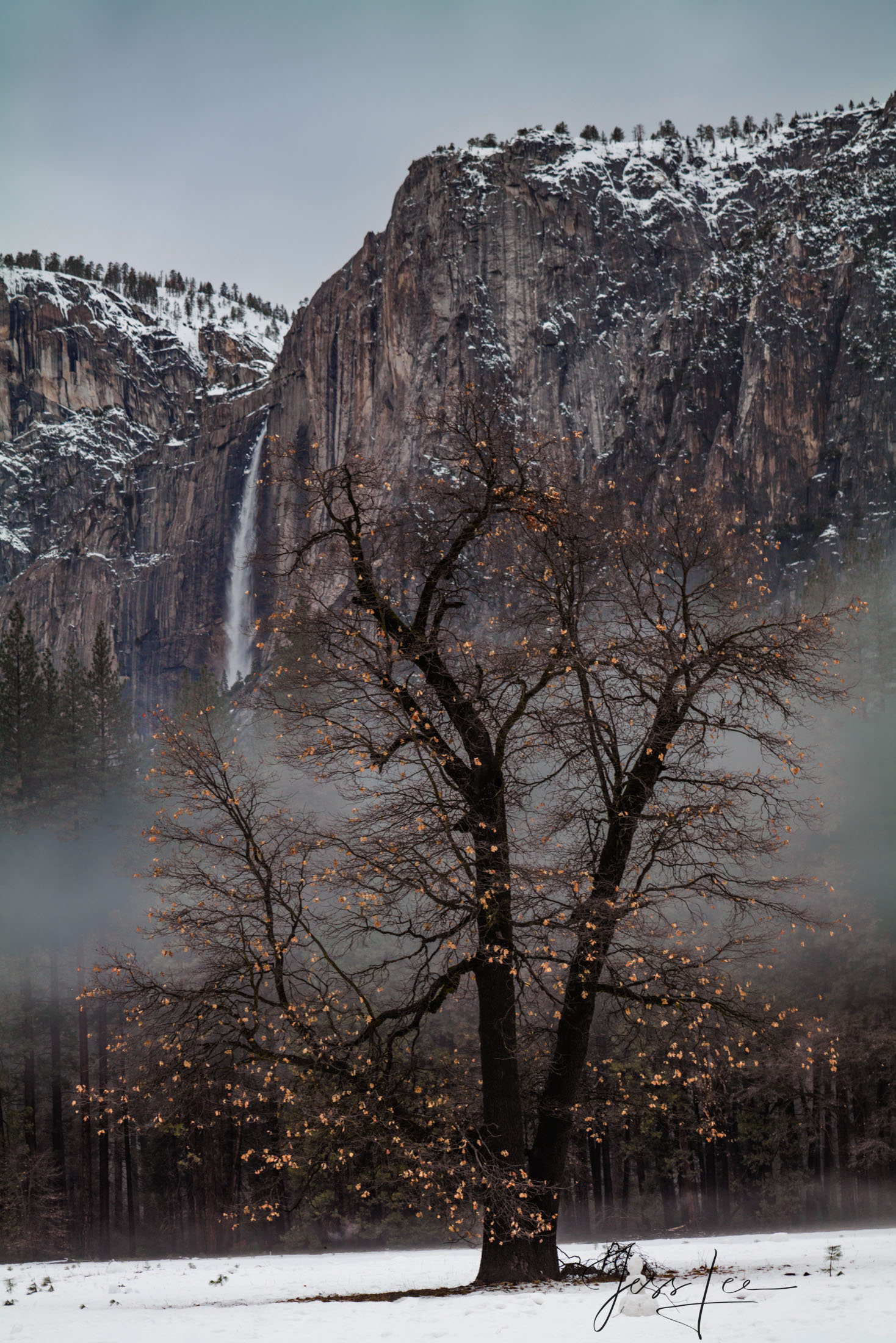 A beautiful Black and White Fine Art Photography Print Of Yosemite in Winter