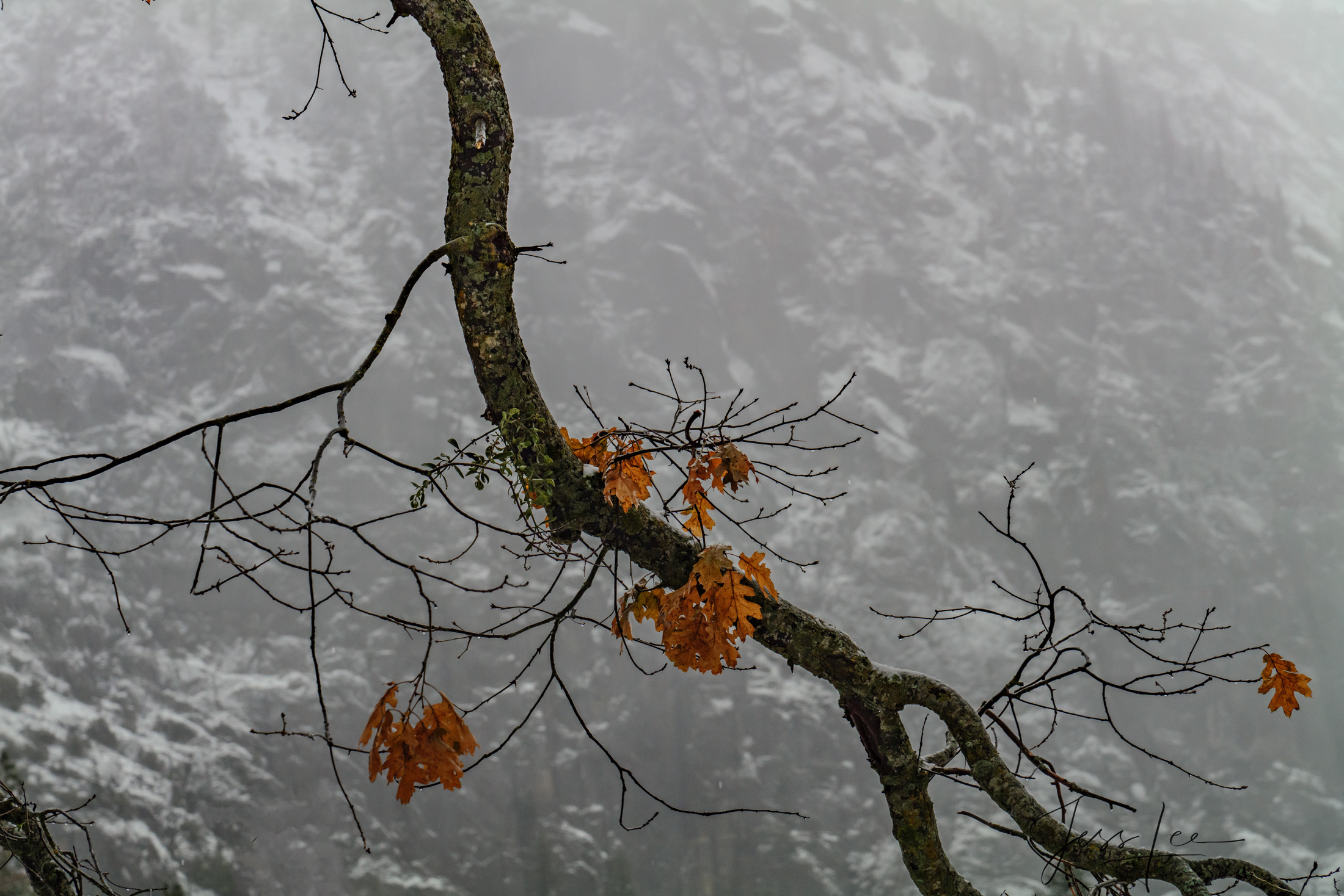 A beautiful Black and White Fine Art Photography Print Of Yosemite in Winter
