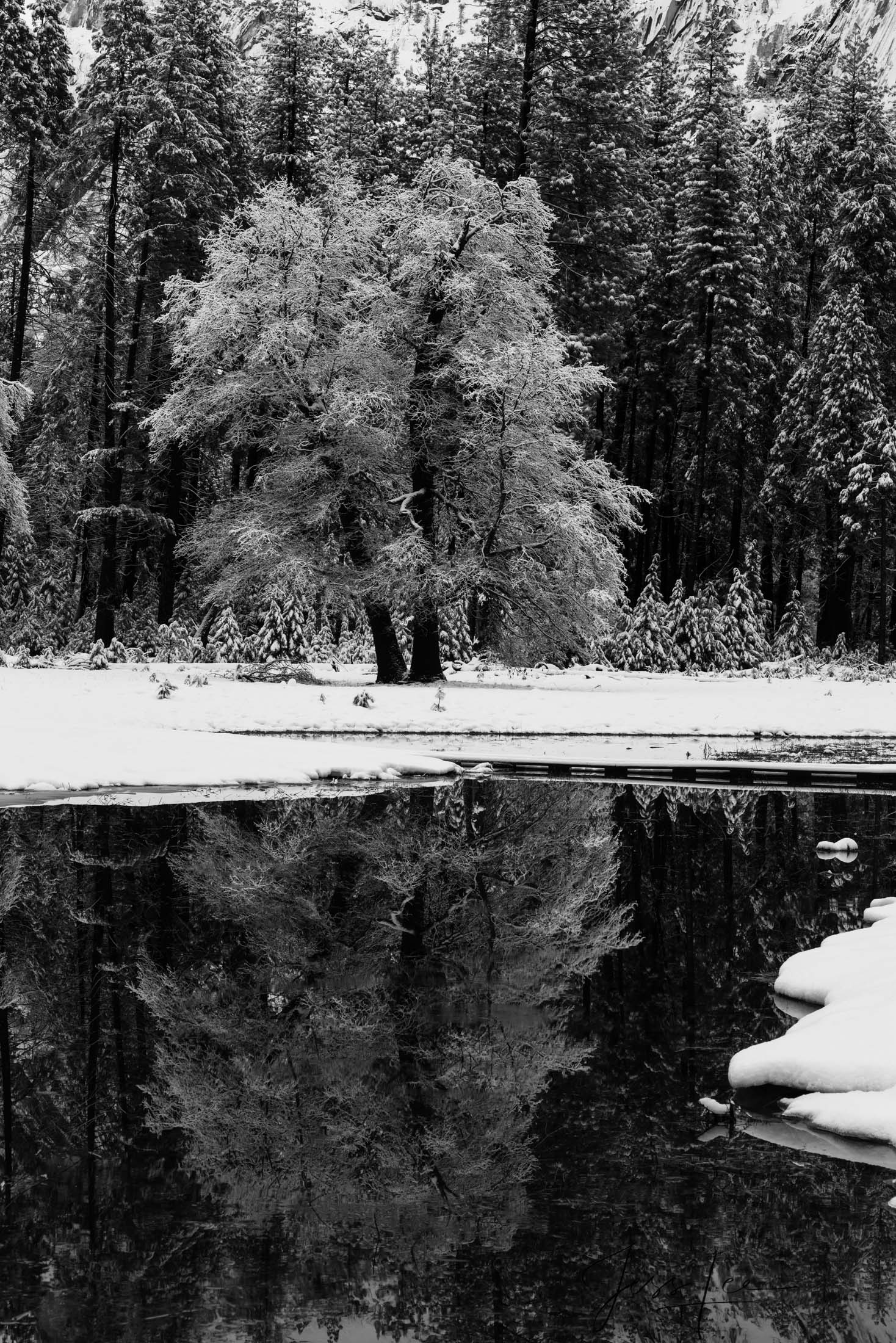 A beautiful Black and White Fine Art Photography Print Of Yosemite in Winter