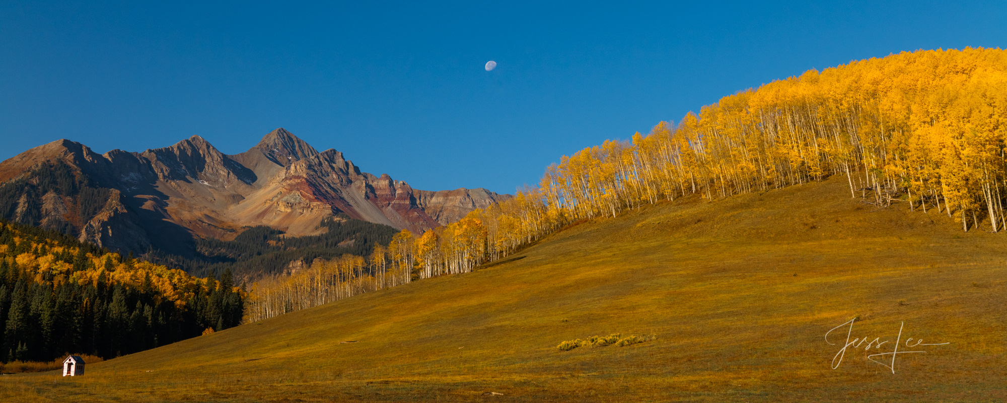 A Colorado Fall Color Photography Print  of Aspen trees taken during the peak of Autumn Color in southeast Colorado. A limited...