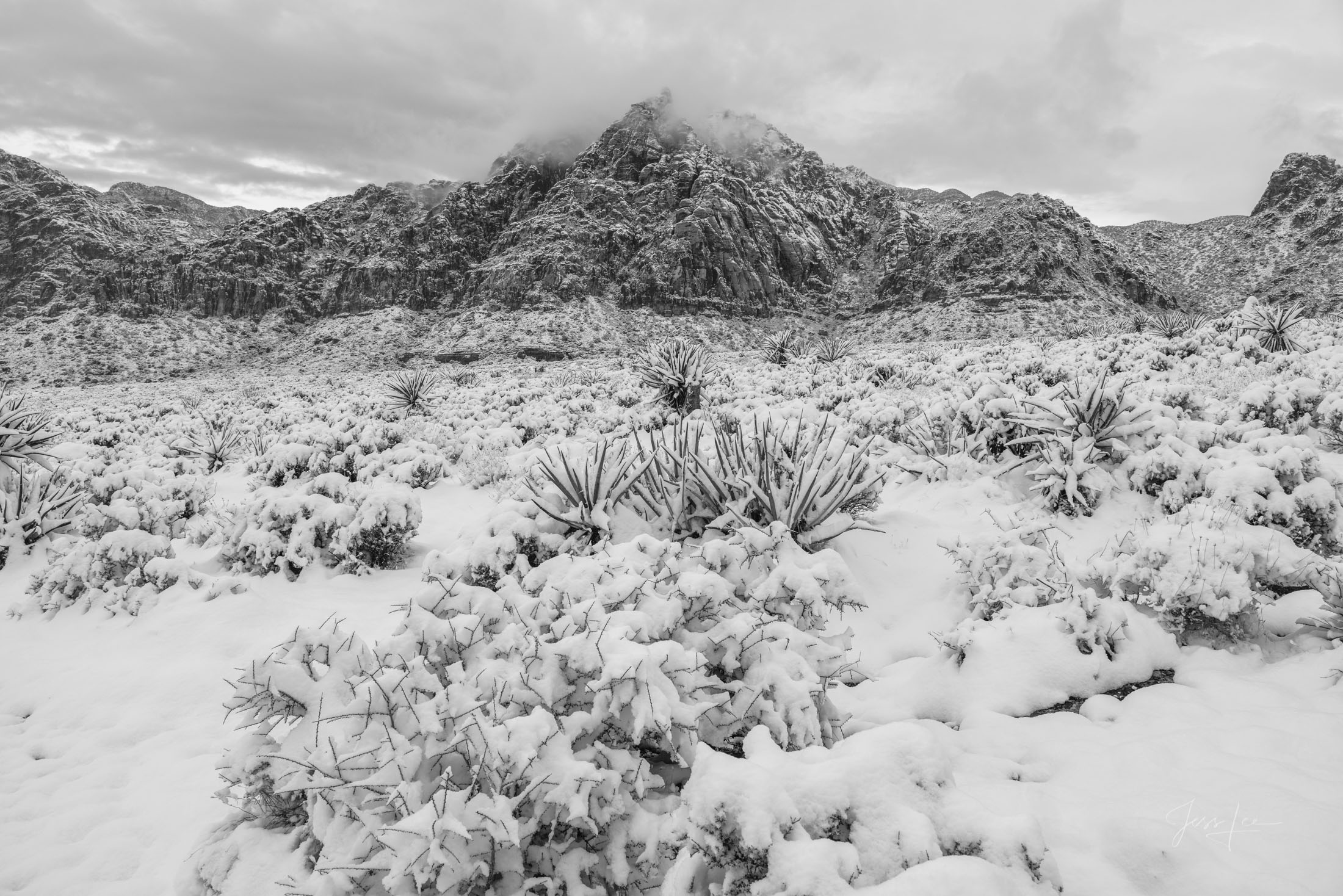 Nevada Photography Print Nevada Photography Print