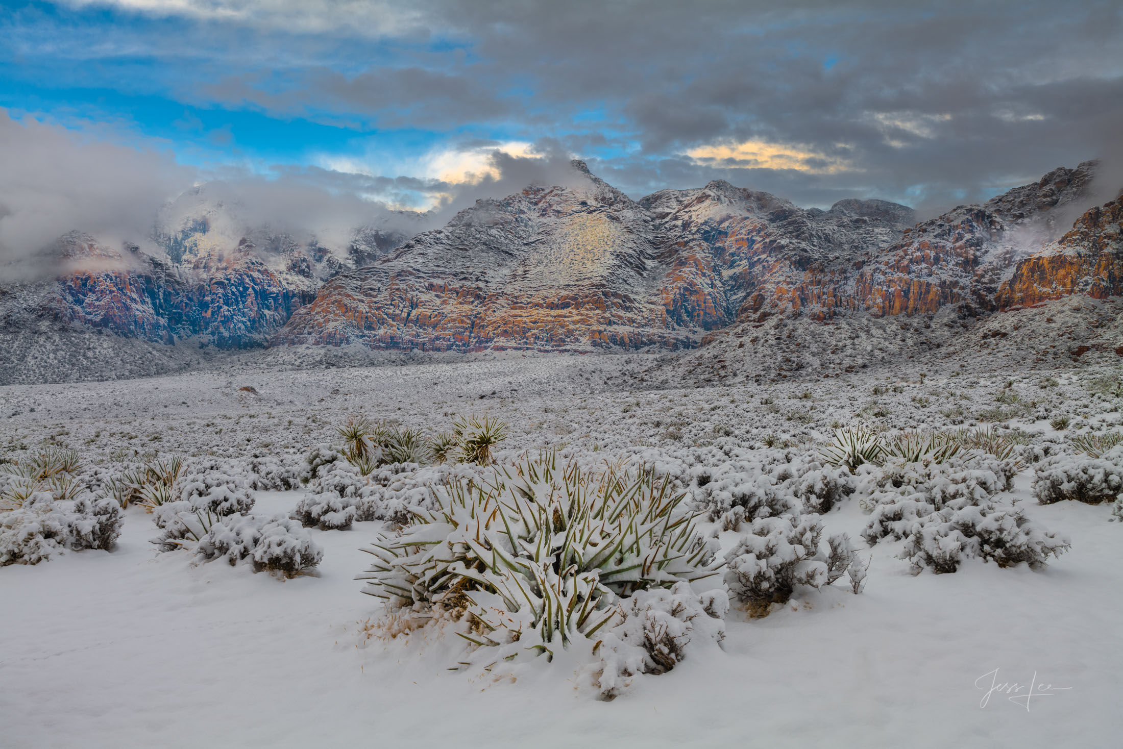 Nevada Photography Print Nevada Photo
