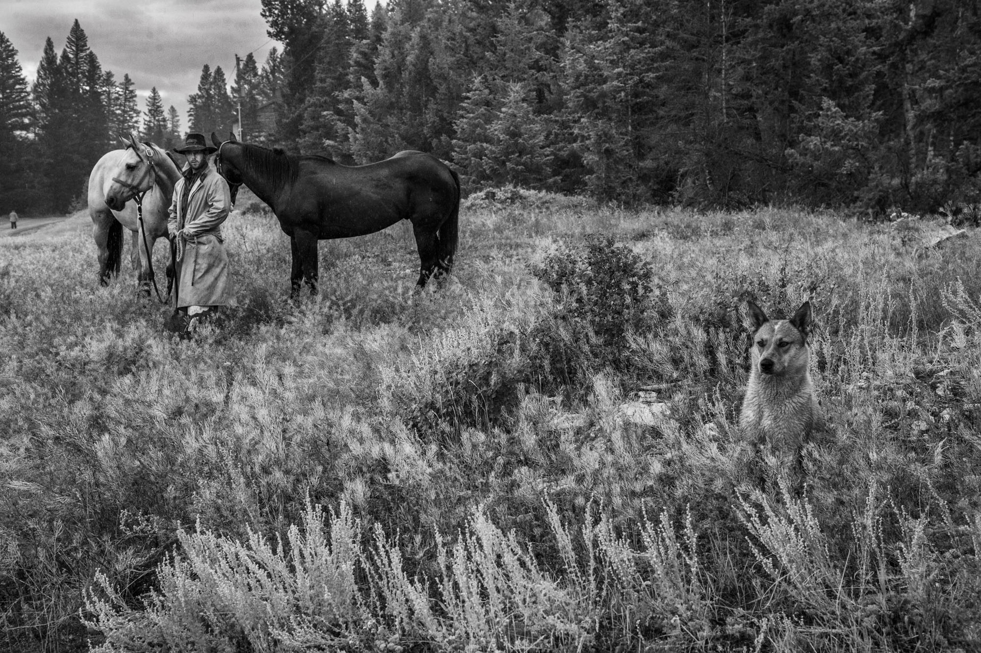 Fine Art Limited Edition Photo Prints of Cowboys, Horses, and life in the West. Dog'n it! Cowboy pictures in black and white....