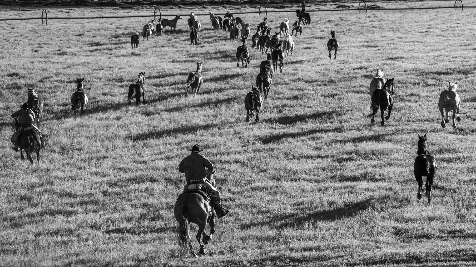 Fine Art Limited Edition Photo Prints of Cowboys, Horses, and life in the West. Get em ! A Cowboy picture in black and white....