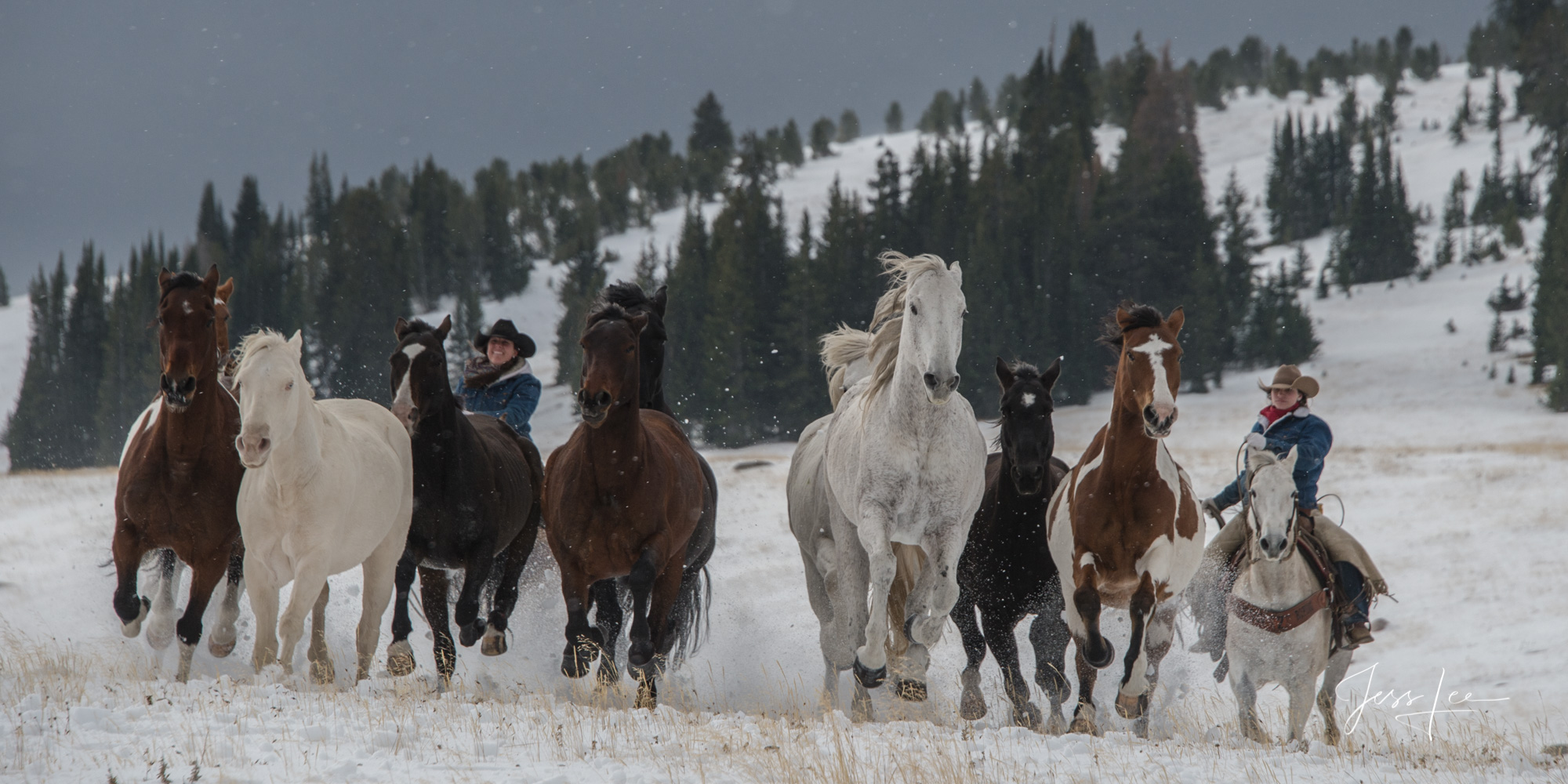 Fine Art Limited Edition Photography of Cowboys, Horses and life in the West. Wyoming horse herd running over the hill on their...
