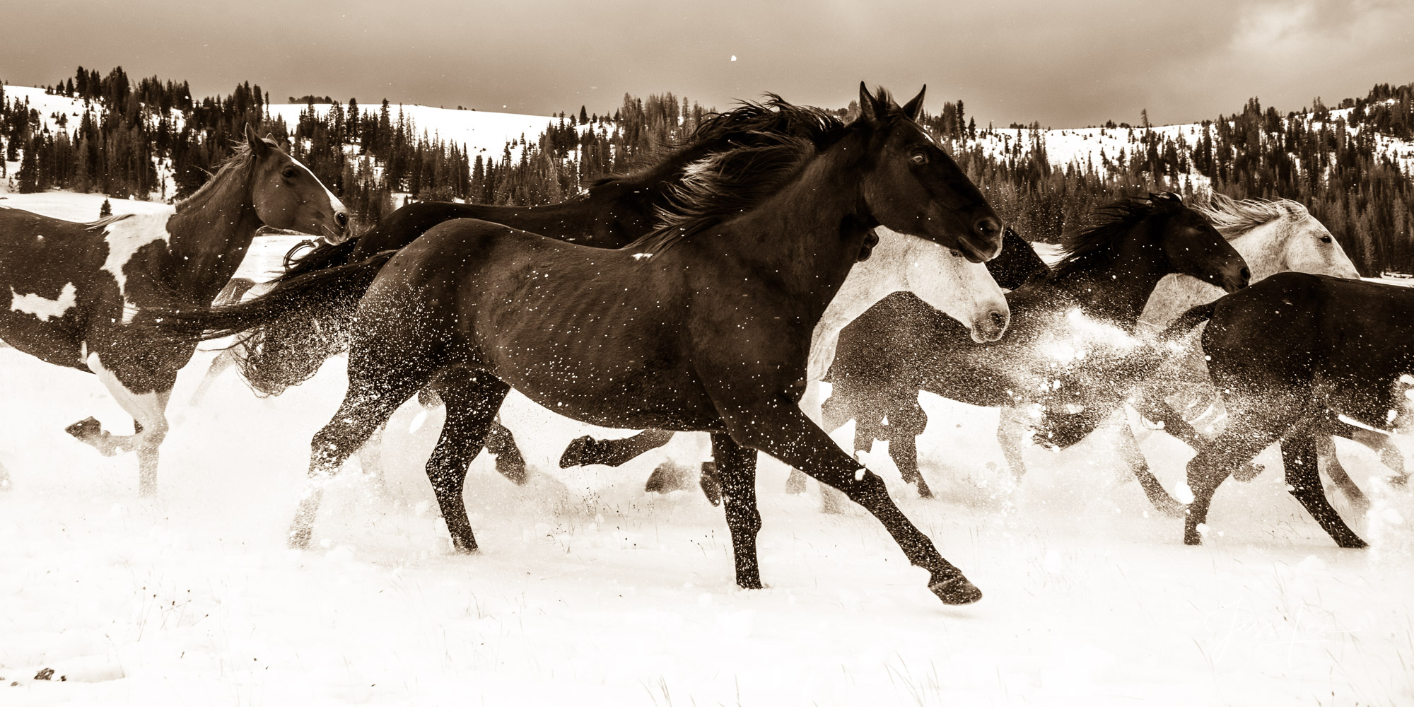 Fine Art, Limited Edition, Cowboy, and Western exclusive high-resolution Museum Quality Photography Prints of Western life and...