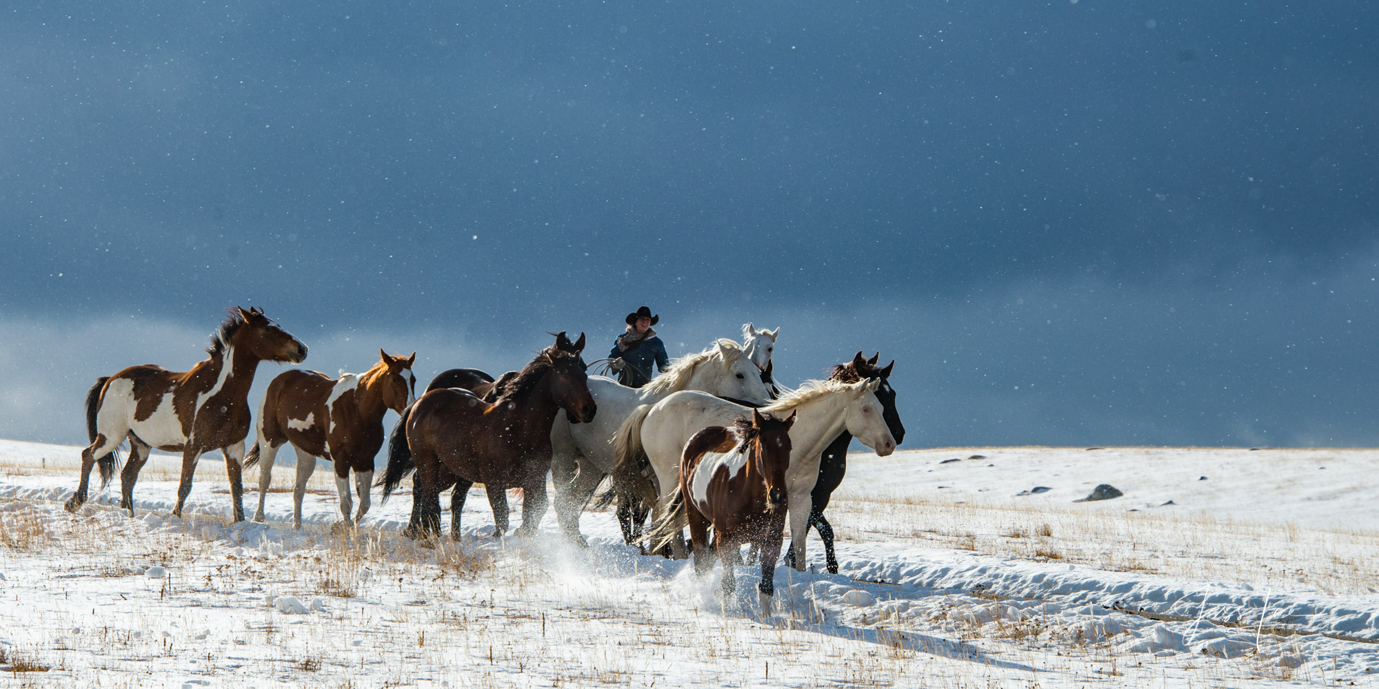 Fine Art Limited Edition Photography of Cowboys, Horses and life in the West. Wyoming horse herd running over the hill on their...