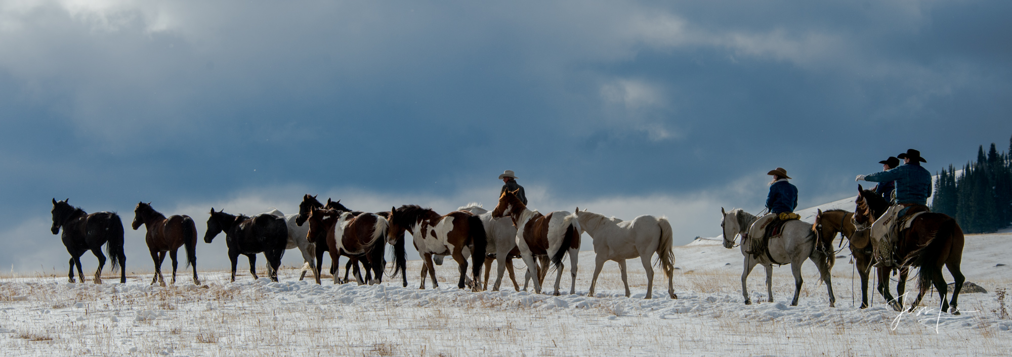 Fine Art Limited Edition Photography of Cowboys, Horses and life in the West. Wyoming horse herd running over the hill on their...