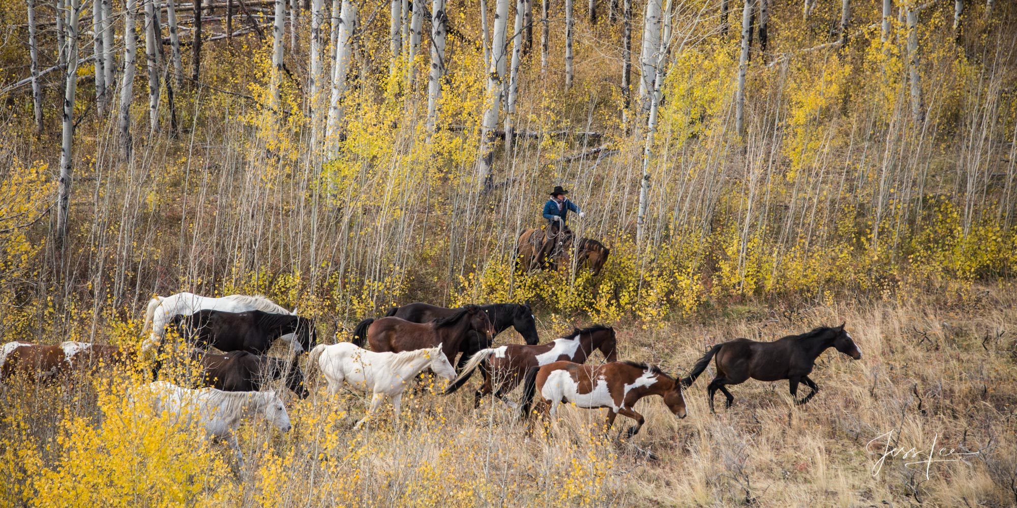 Autumn Fine Art, Limited Edition, Cowboy, and Western exclusive high-resolution Museum Quality Photography Prints of Western life and...