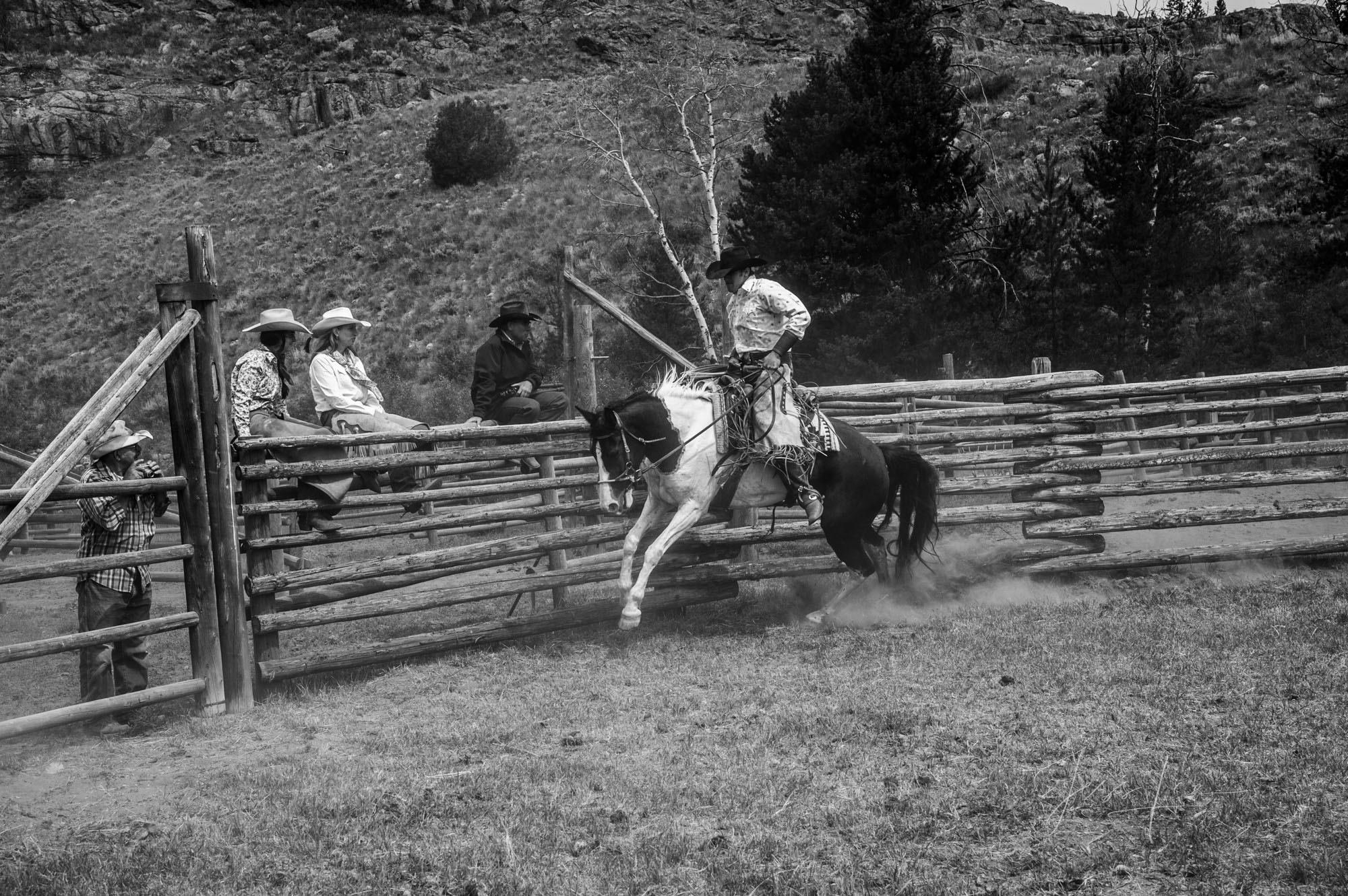 Fine Art Limited Edition Photo Prints of Cowboys, Horses, and life in the West. Hoppy. A Cowboy picture in black and white. This...