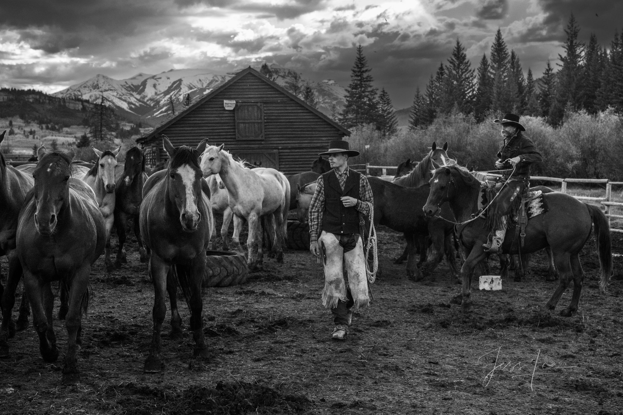 Fine Art Limited Edition Photo Prints of Cowboys, Horses, and life in the West. Morning Pickup, a Cowboy picture in black and...