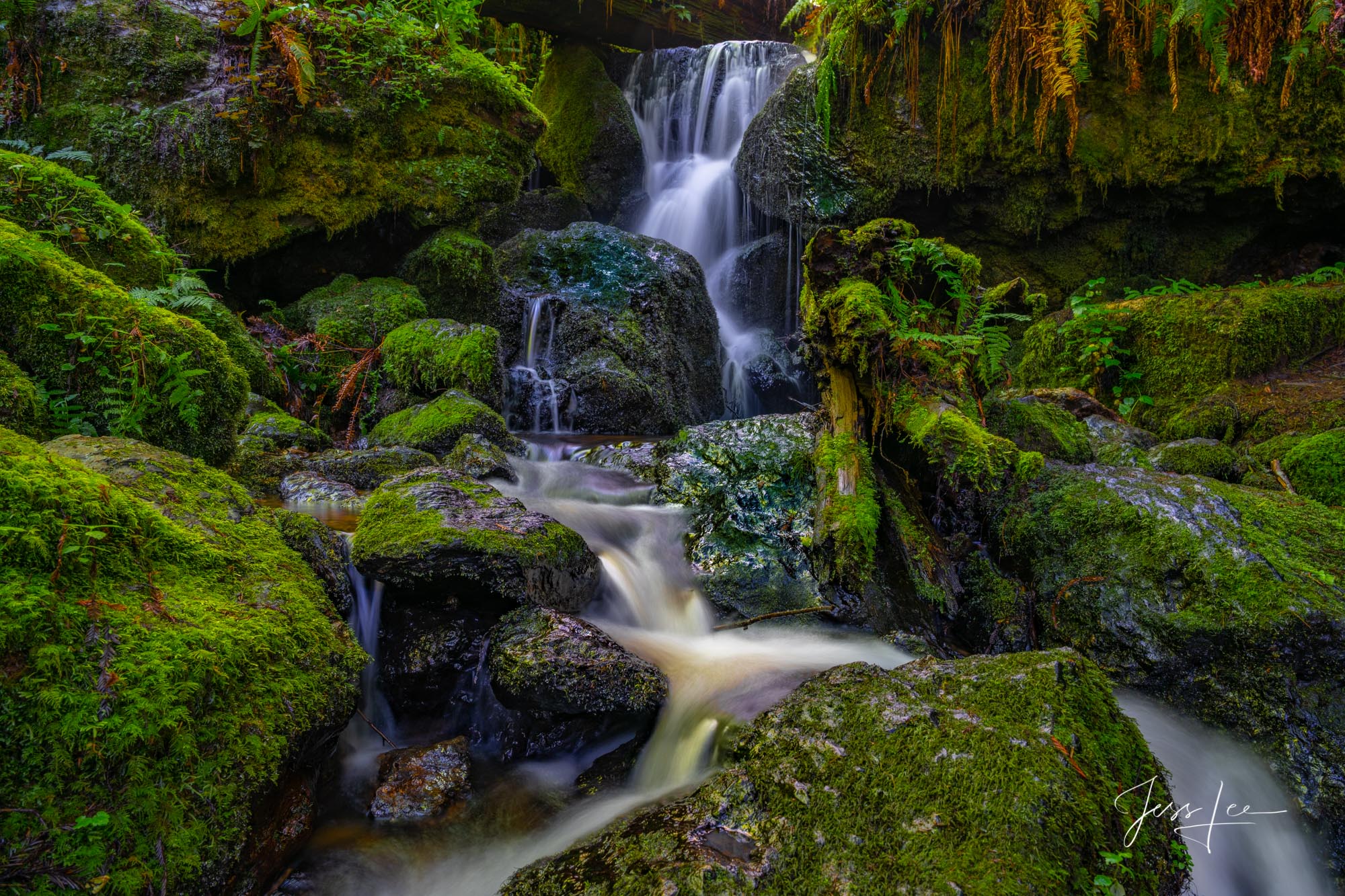 Trillium Falls surrounded by lush greenery. 