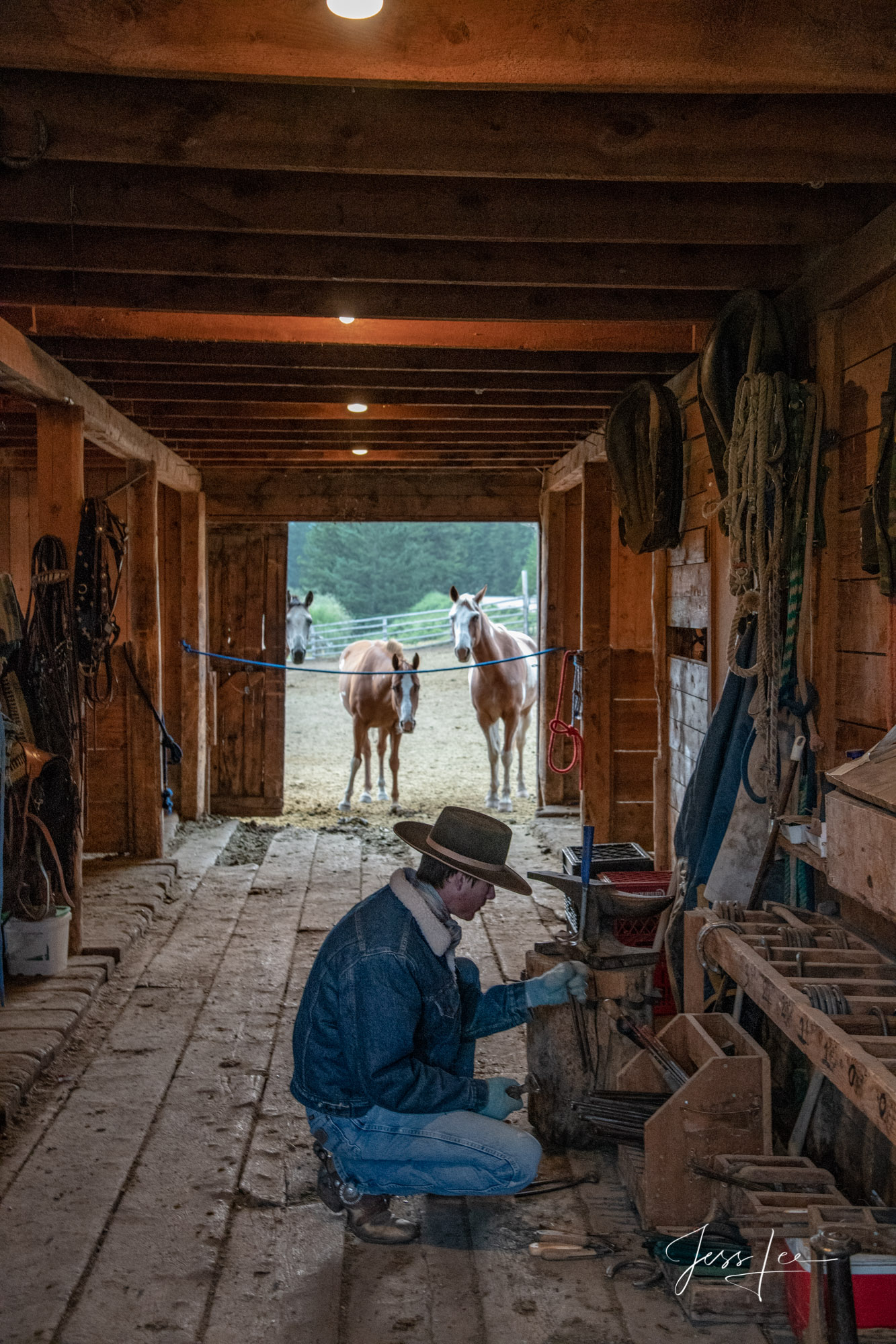 Shoeing Fine Art Limited Edition Photography of Cowboys, Horses and life in the West. Wyoming horse herd running over the hill on their...