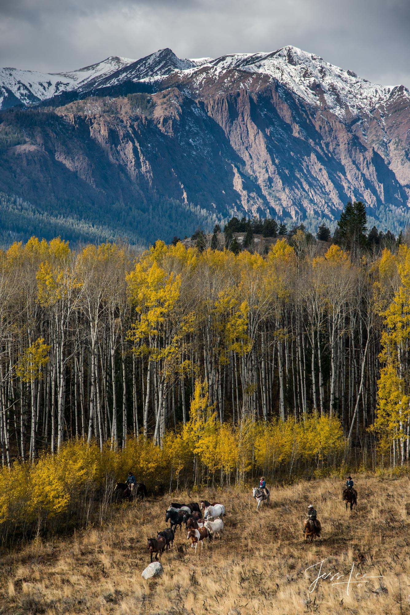 Fine Art Limited Edition Photography of Wyoming including it beautiful National Parks of Grand Teton and Yellowstone. Wyoming...