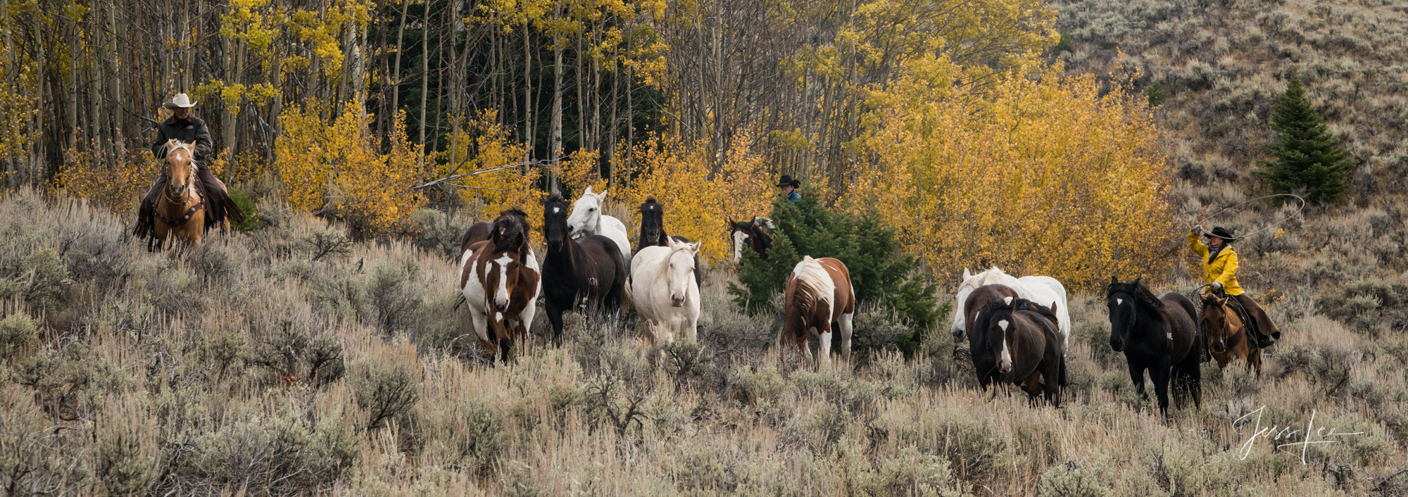 Fall Pano Fine Art, Limited Edition, Cowboy, and Western exclusive high-resolution Museum Quality Photography Prints of Western life and...