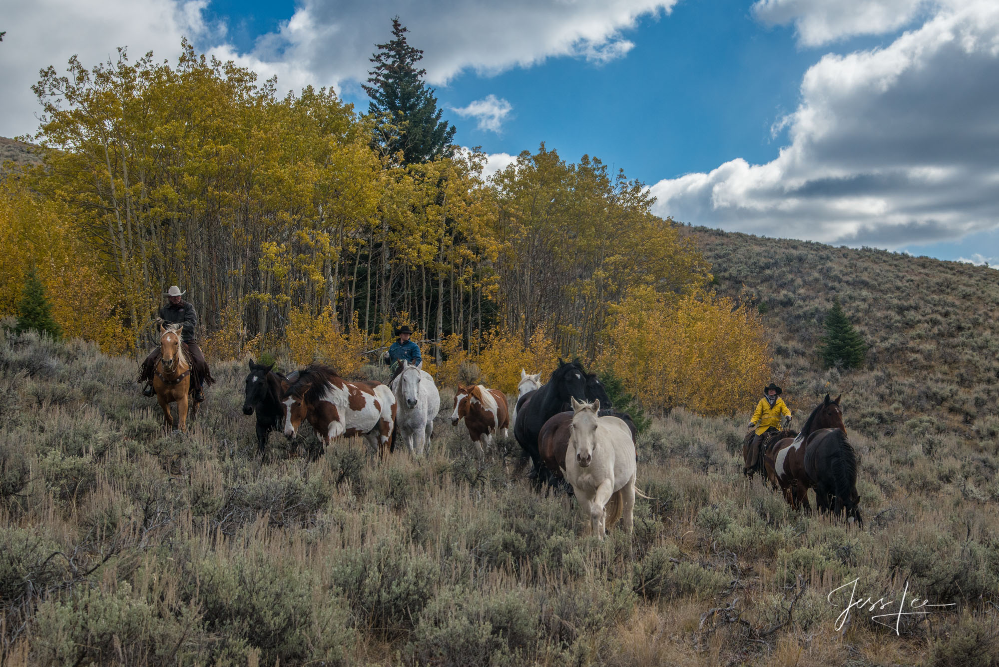 Fine Art Limited Edition Photography of Cowboys, Horses and life in the West. Wyoming horse herd running over the hill on their...