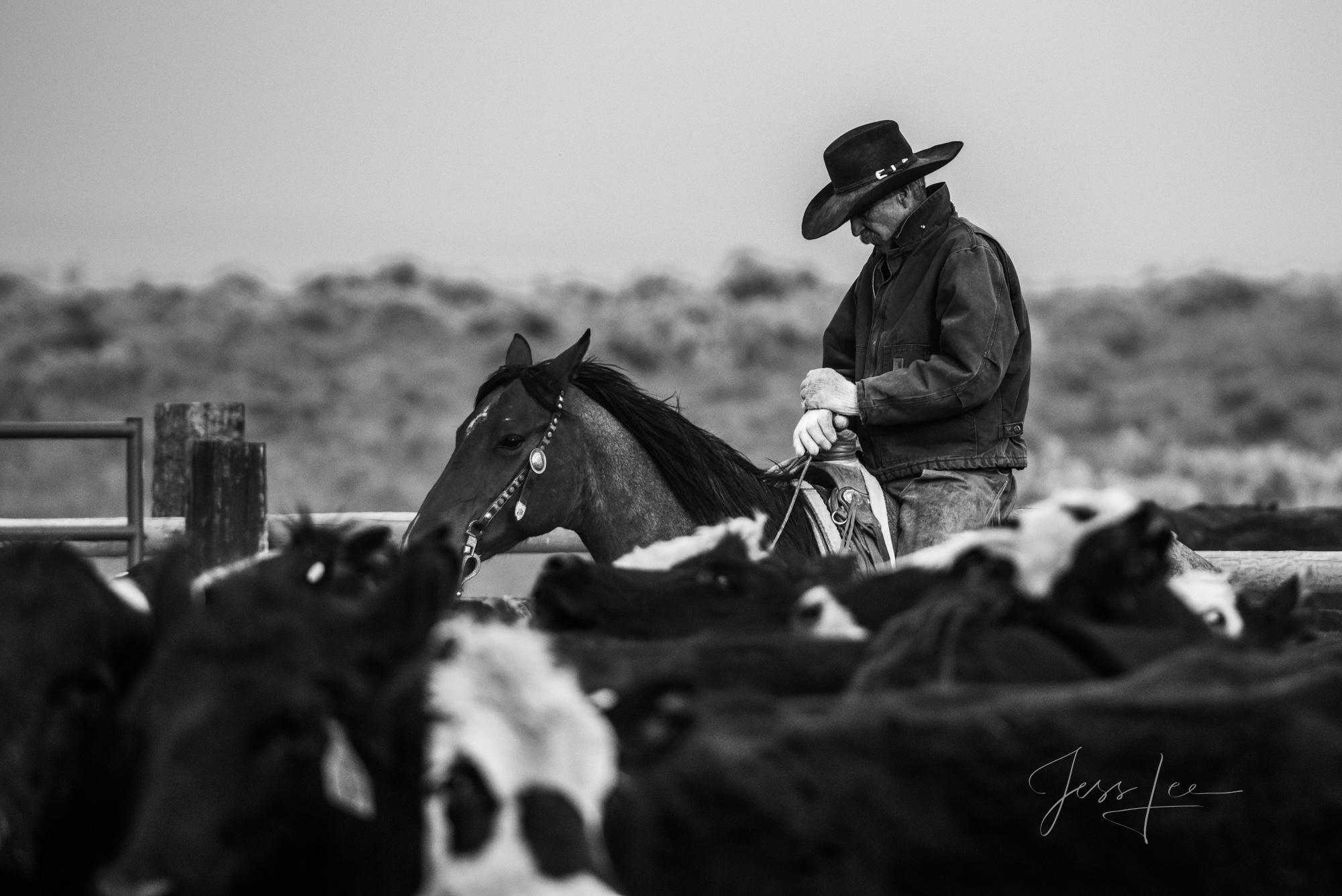 Fine Art Limited Edition Photo Prints of Cowboys, Horses, and life in the West.  Cowboy thinking it over pictures in black and...