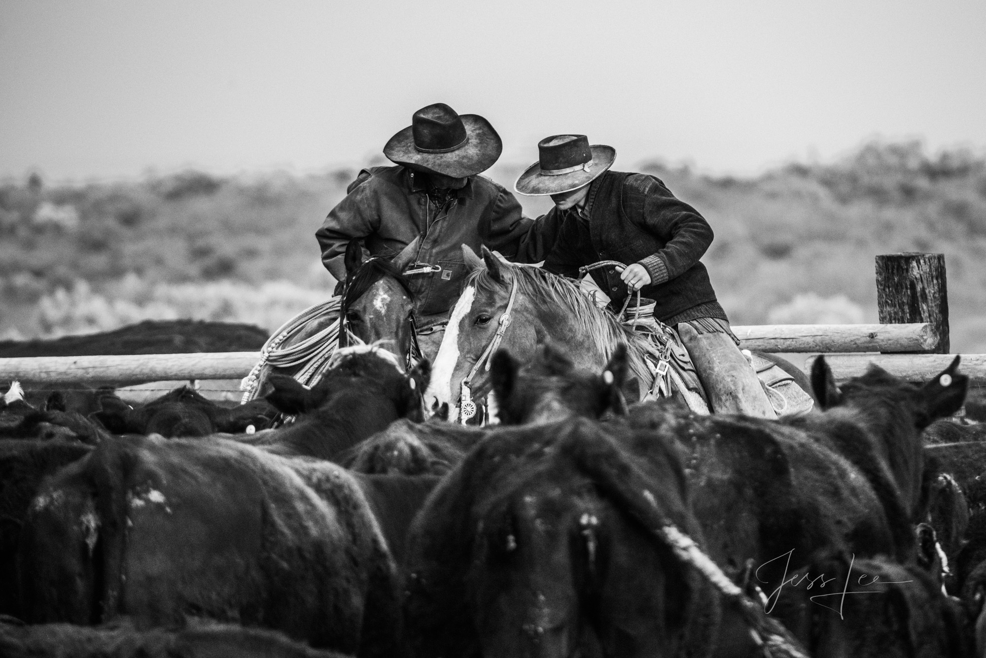 Fine Art Limited Edition Photo Prints of Cowboys, Horses, and life in the West.  Cowboy pictures in black and white. This is...