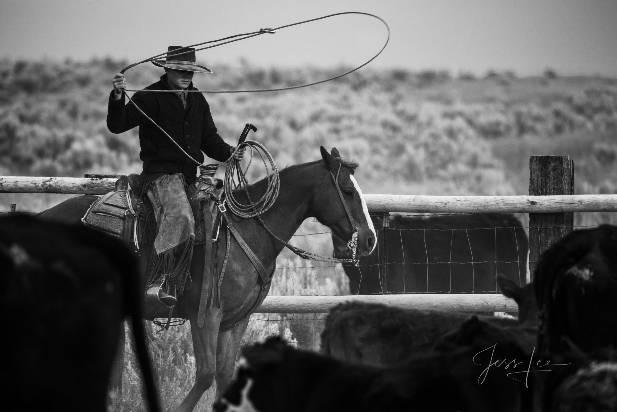 Fine Art Limited Edition Photo Prints of Cowboys, Horses, and life in the West.  Cowboy looped picture in black and white. This...
