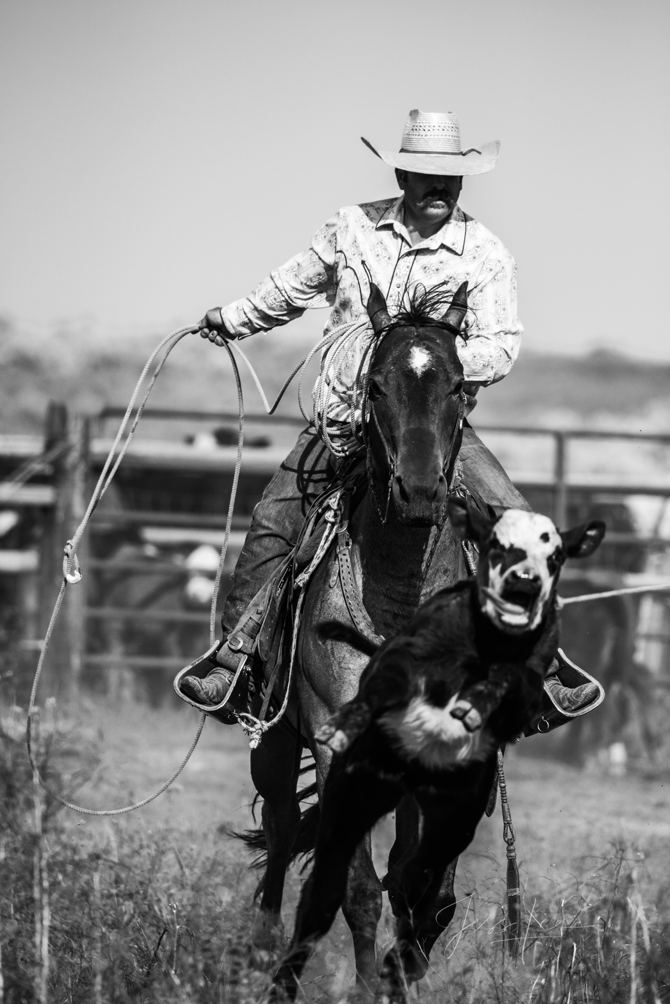 Fine Art Limited Edition Photo Prints of Cowboys, Horses, and life in the West. Tailler - Cowboy pictures in black and white....