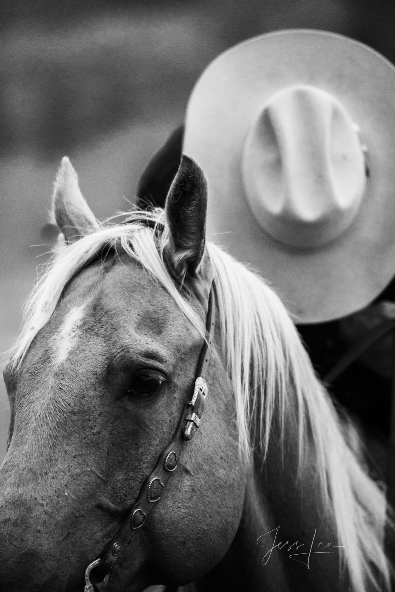 Fine Art Limited Edition Photo Prints of Cowboys, Horses, and life in the West. He is snoring. Cowboy pictures in black and white...